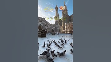 تلاوة هادئة تريح القلب والعقل للشيخ العيون الكوشي من صلاة التراويح بجودة عالية High Quality