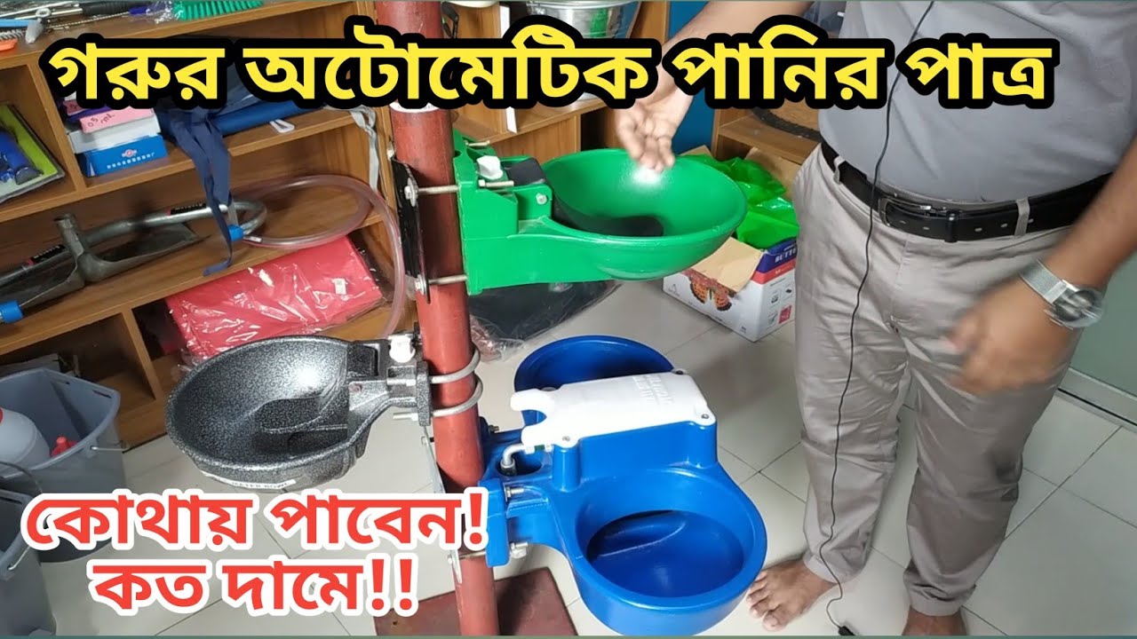 গরুর অটোমেটিক পানির পাত্র কোথায় পাবেন! কত দামে!!