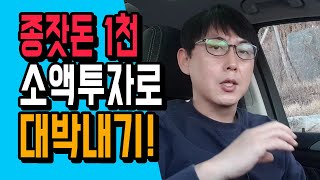 1천만원 모았다고요? 소액으로 가능한 부동산 투자가 있어요!