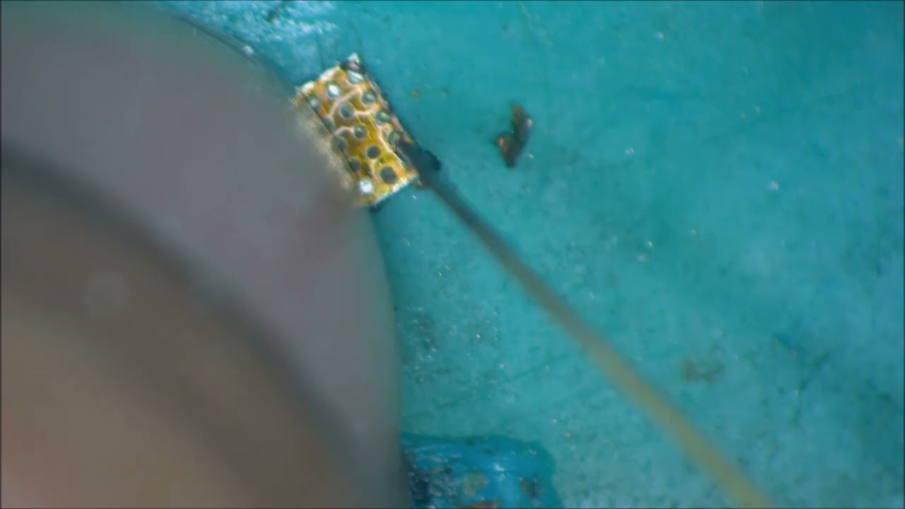 iphone-8-home-button-not-works-but-finger-print-works-youtube