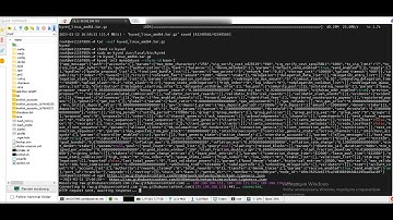 How to install the KYVE Kaon node ?