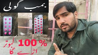 Kabutar Ki Parwaz Badhane Ka 100% Nuskha Samiullah Pigeon Club