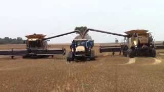 Big CLAAS Lexion Combines Harvesting Wheat
