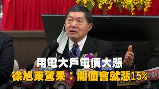 工業用電大戶電價大漲15%　徐旭東驚呆：開個會就漲15%，政府很有本事