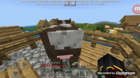 Nếu Con bò có cuộc sống trong minecraft : Ace gaming