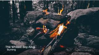 The Whitest Boy Alive - Burning