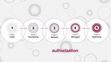 Overview - Digital Identity Maturity Model
