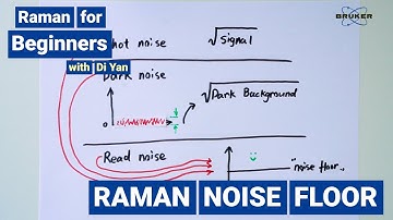 Signal to Noise | Raman for Beginners | Noise Floor