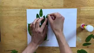 Make It: Leaf Collage