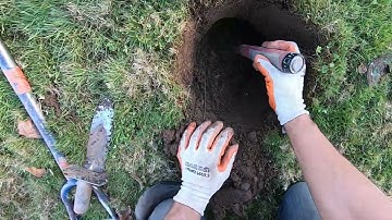 LIVE DIG ACTION!! Deus 2 in the relic spot with big coil.