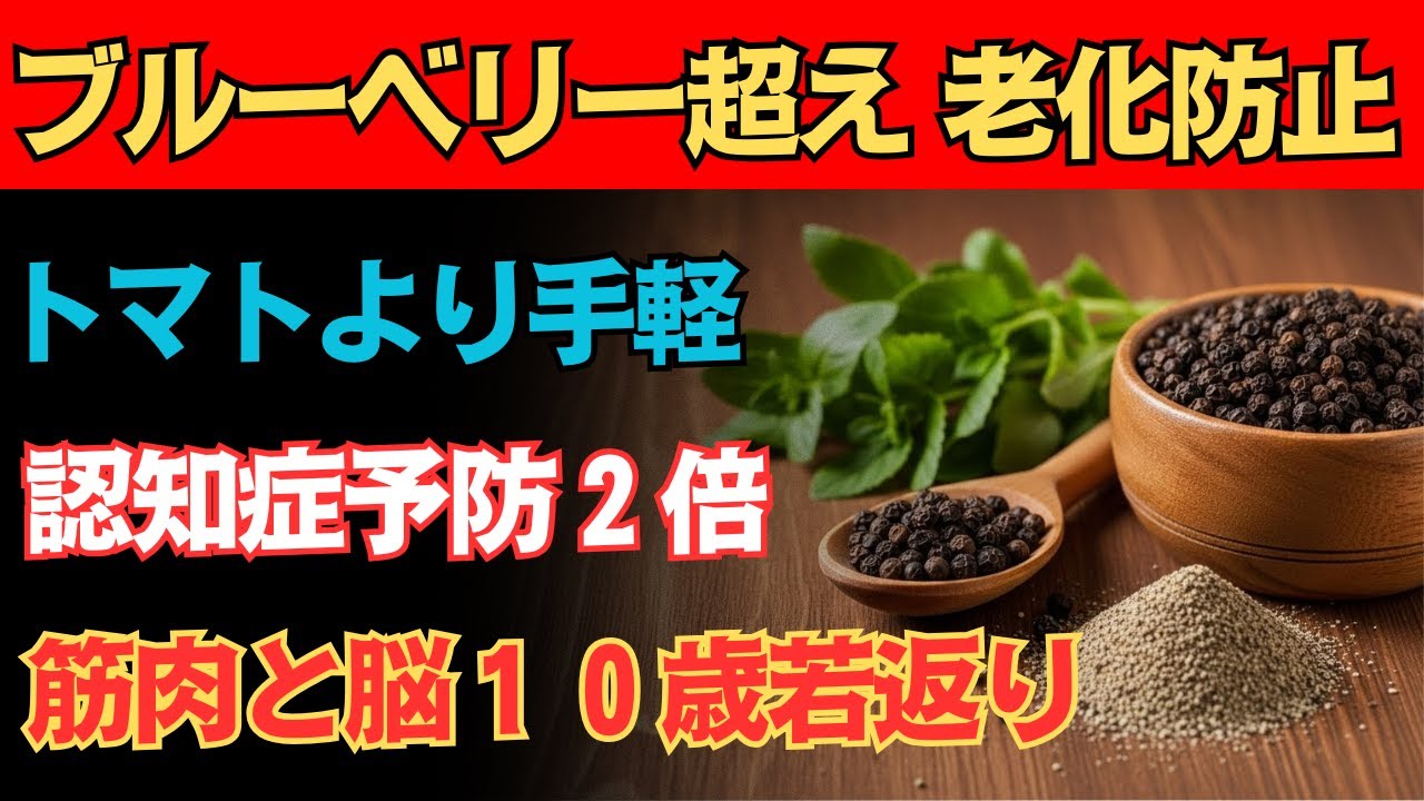 【安くて効果的】五五歳以上が絶対に摂りたい、脳を守り筋肉を若返らせる食品TOP10｜科学的根拠あり