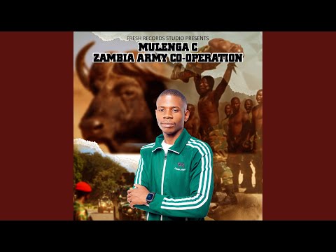 Zambia Army Co Operation