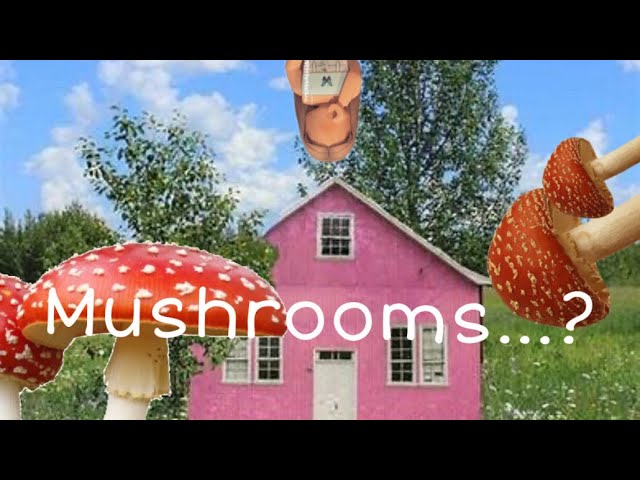 Weirdcore Mushroom Eyes