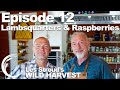 Survivorman | Wild Harvest | Season 1 | Episode 12 | Lambsquarters & Raspberries | Les Stroud