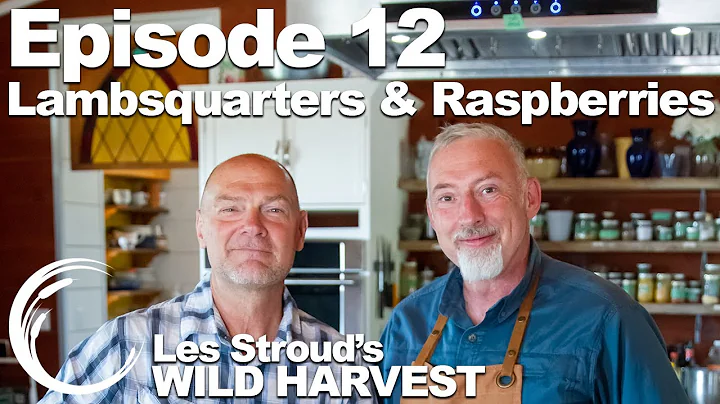 Survivorman | Wild Harvest | Season 1 | Episode 12...