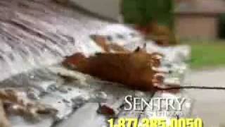 Sentry Exteriors - Leaf Solution