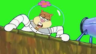 Spongebob Green screen: Sandy cheeks - \