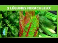 3 lgumes miraculeux que vous devriez inclure dans votre rgime  bienfaits pour la sant