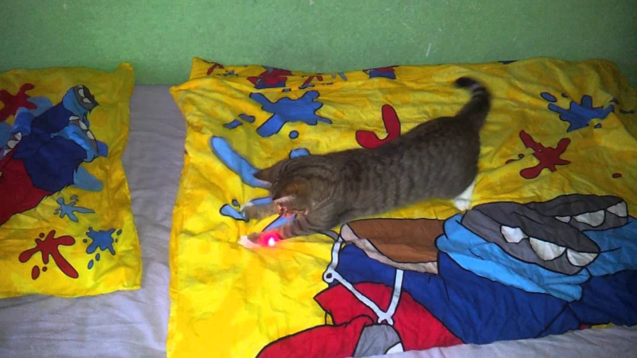 HD 1280*720 Pixel, Samsung S2 Video Sample,Autofokus  reagiert normal