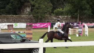 Westide Mirah 2, Vitesse 115 Hennebont 220716