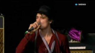 Babyshambles Perform Sedative Live At Glastonbury