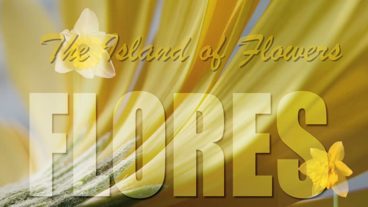 Discover Flores Island, The Azores: Waterfalls, Lakes and Wild Beauty