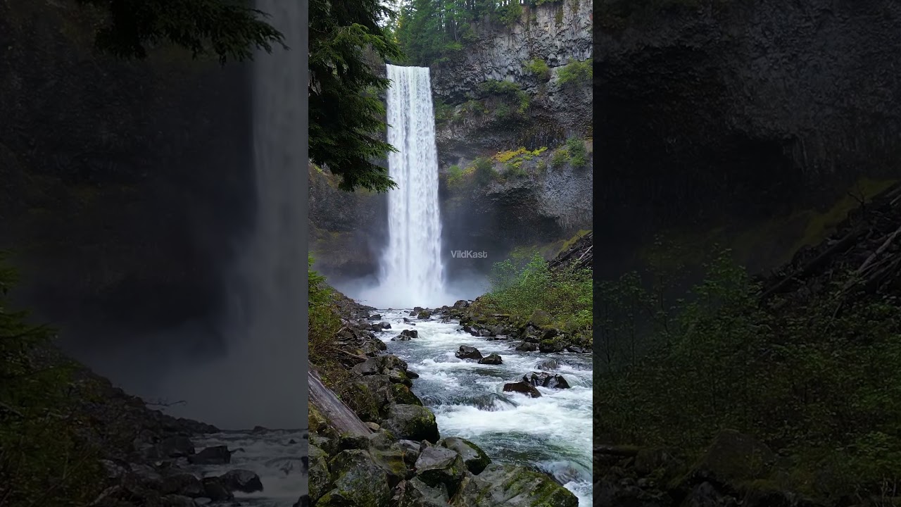 Waterfall River and Green Trees Landscape 