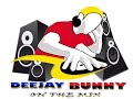 Bubblegumdisco  remix  nonstop  dj bunny part 1