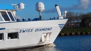✅ At Peace With 'SWIS DIAMOND, EEMSPOORT, REDBAD' a Cruiser and a 50 Year Old Lady🎉 - #1779NL