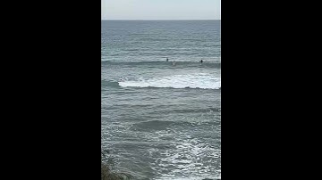 Endless Thought Waves Teaser - Verse 1 - Travis Buckman