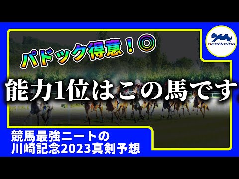 【川崎記念 2023 予想】必見！オッズに惑わされるな！川崎記念の軸に向いた馬厳選！川崎記念2023ニートの競馬予想 #ニート #競馬予想 #川崎記念 #パドック #テーオーケインズ