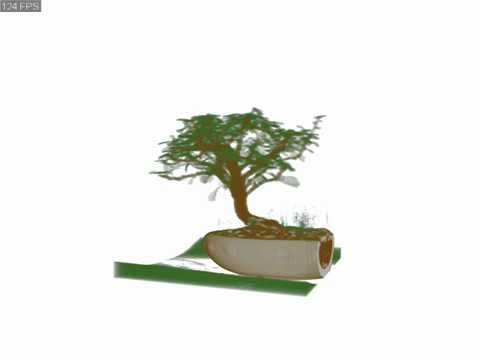 volume-raycasting.avi