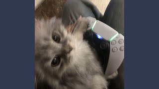 Download Lagu Liar MP3