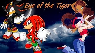 Winx Sonic Eye Of The Tiger Requested Jamari Avinger