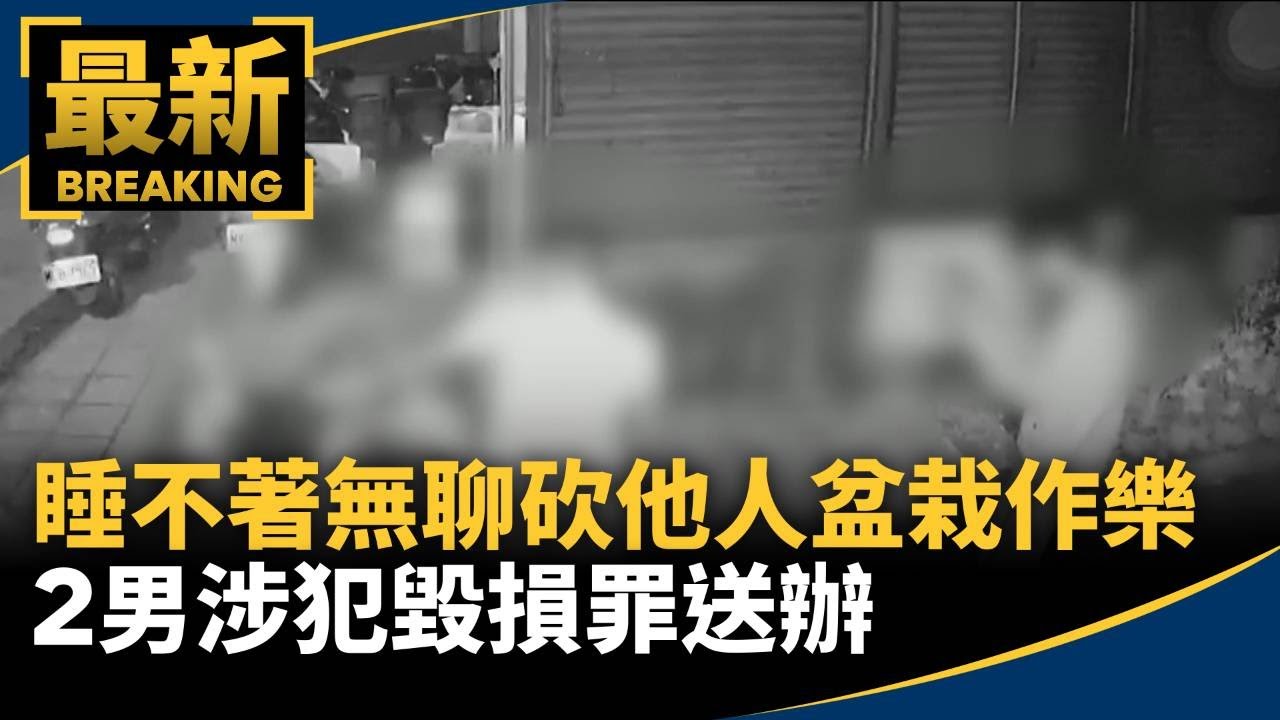 睡不著無聊砍他人盆栽作樂　2男涉犯毀損罪送辦｜#鏡新聞