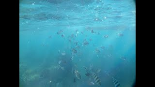 PULAU HARAPAN DESTINASI JAKARTA