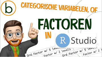 💻 Categorische variabelen in RStudio | Wat zijn ze en hoe gebruik je ze? 📊