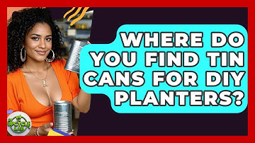 Where Do You Find Tin Cans For DIY Planters? - The Upcycle Lab