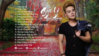 GIỌT LỆ HOA HỒNG | NHẠC TRẺ MỚI TUYỂN CHỌN HAY 2024 | NHỮNG BẢN BALLAD TUYỂN CHỌN 2024 #tonggiavy