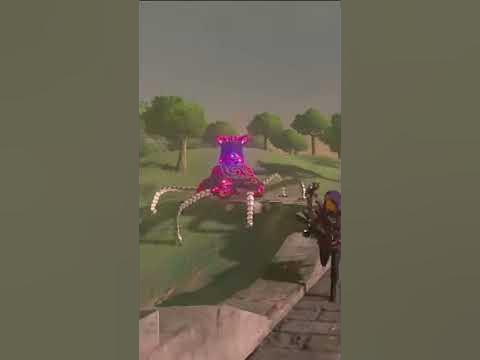 I think he'll need to stay in some hylian rice over night