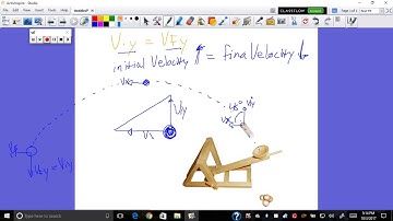 Initial vertical velocity and Final vertical velocity