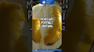 Manfaat Buah Durian