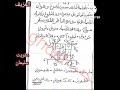 باب مندال الملك ميمون ابا نوخ 