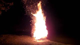 Lighting Of The Christmas Tree