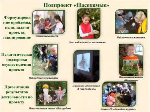 Воспитание экологической культуры у детей старшего дошкольного возраста методом проектов