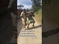 DANCE IN RWANDA 🇷🇼🤣❌#dance #tuyishimecomedy #fannydance