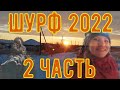 Шурф 2022 2 часть. Совместный с каналом Саратовский кладоискатель!