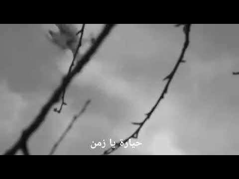 نجاه الصغيره على طرف جناحك يا حمامي تصميمي