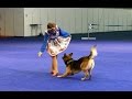 Танцы с собаками "Россия - 2015". Dog Dancing. Canine Freestyle.