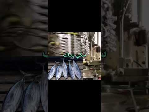 ايه الفرق بين تونه قطعه واحده و قطع و مفتته الباكور تونه و سكي بجاك تونه